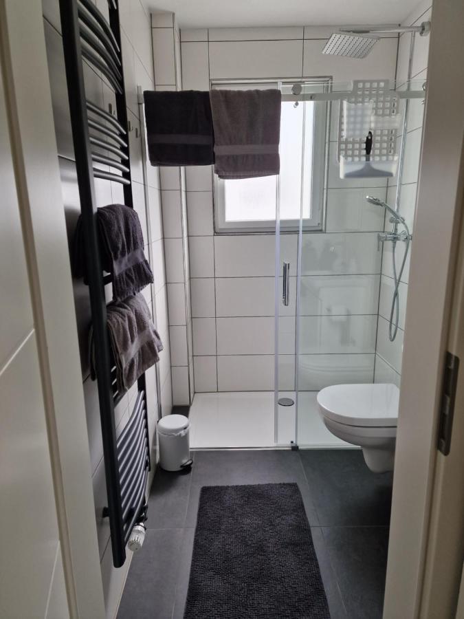 Ferienhaus Steigrhein Filsen Экстерьер фото