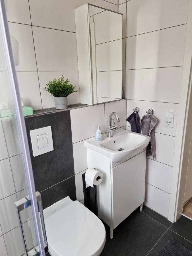 Ferienhaus Steigrhein Filsen Экстерьер фото